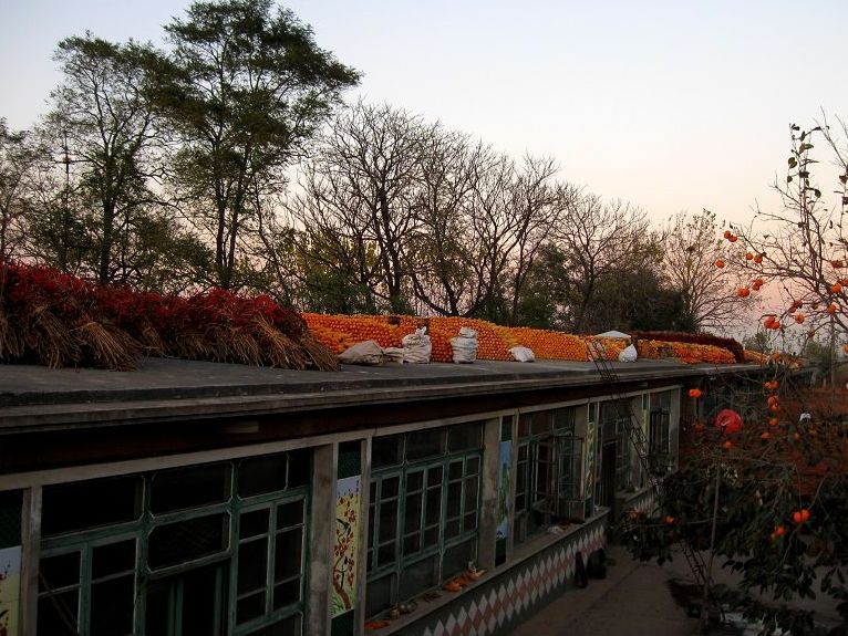 中国民居的演变过程,中国民居的现代发展