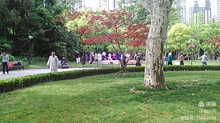 上海中山公园公寓,上海中山公园游玩攻略