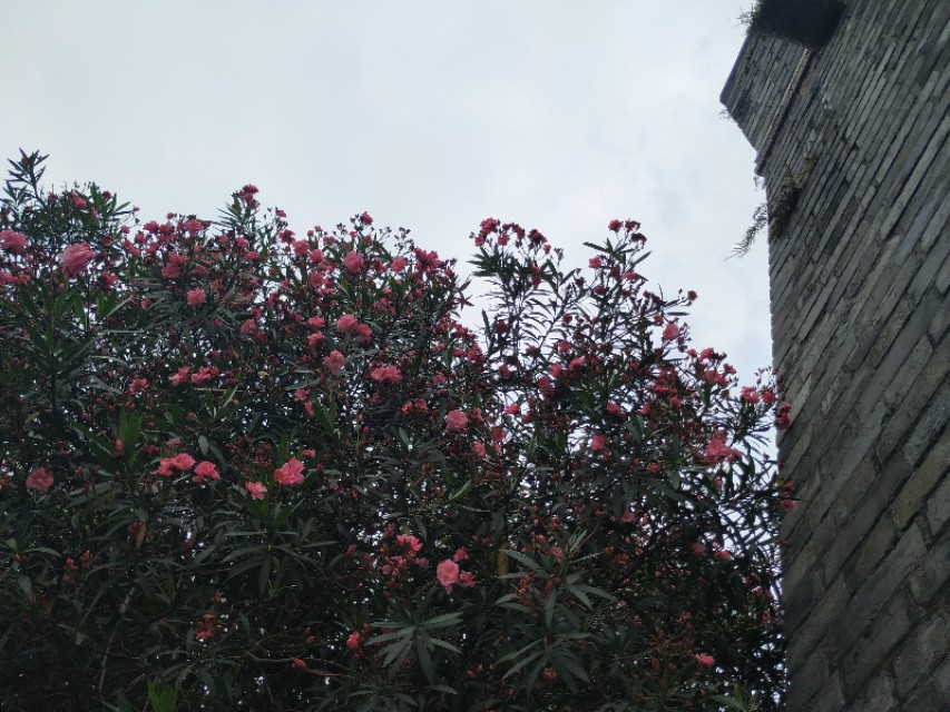 杭州古城门全景图,杭州十大古城门一日游