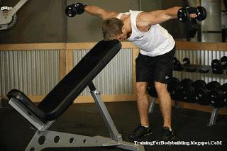 新手一周健身计划详细表,新人健身房健身一周训练计划