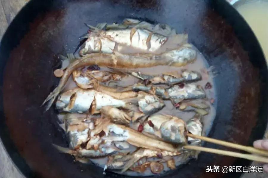 白洋淀纪事真实故事,真实的白洋淀传说