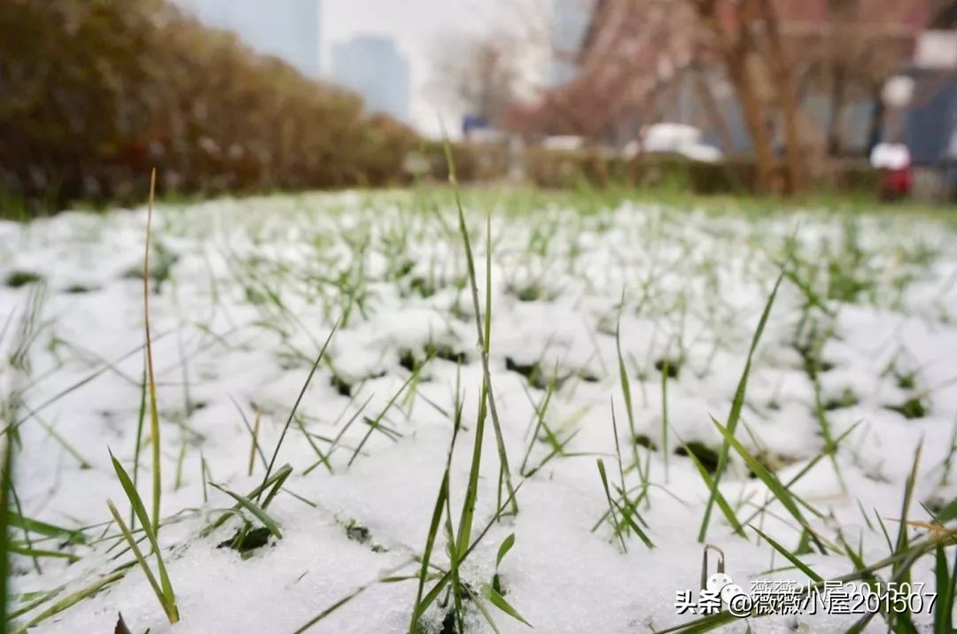 城市漫步,城市漫步郑州