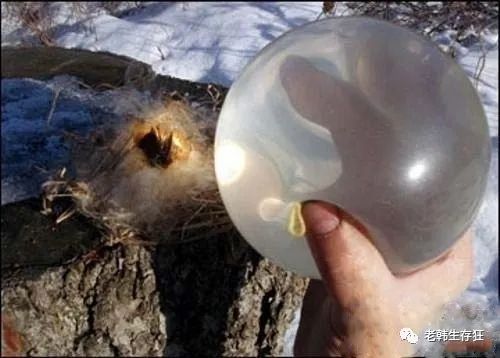 生存狂全套装备视频,生存狂开发山洞囤物资