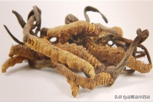 中药材批发市场各种中药价格,中药材白英批发价格