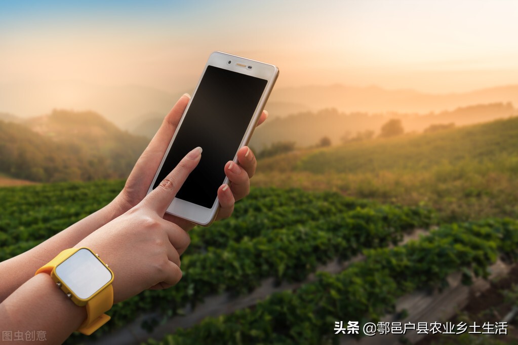 自媒体运营入门第一讲,新手如何做自媒体写作赚钱