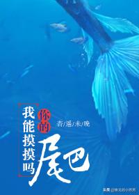 推文女强男弱知乎,推文女强男弱古文