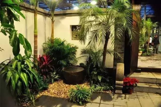 北方庭院室外耐寒植物,庭院驱蚊效果最好植物