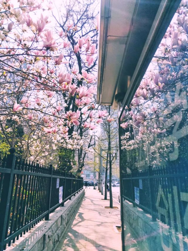 大连游玩街区,大连旅游街区推荐名单