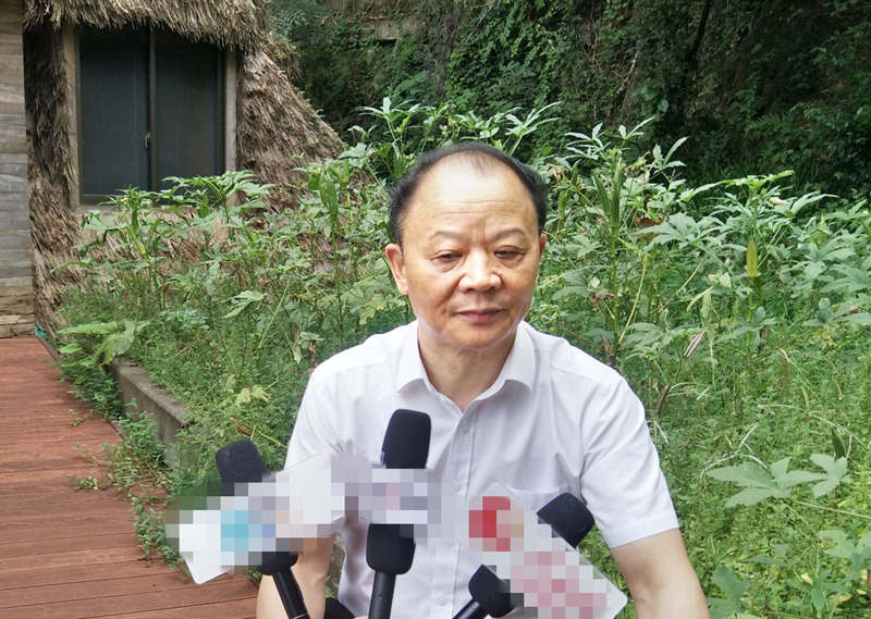 特例还是惯例—迷之杭州东方文化园系公司重整