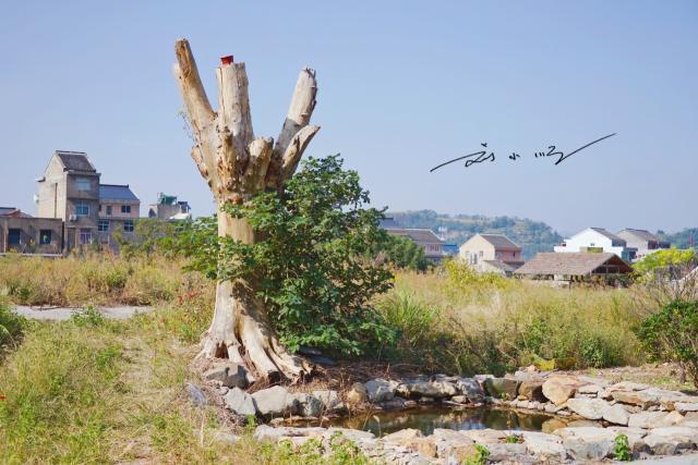 浙江被低估的县级市有哪些,温州是浙江最宜居的城市吗