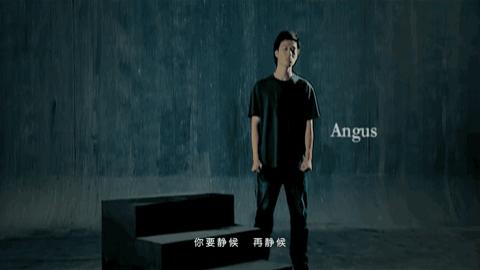 十大舔狗歌曲,舔狗的歌曲