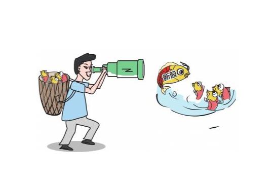 新手如何申购新股,今日新股申购建议