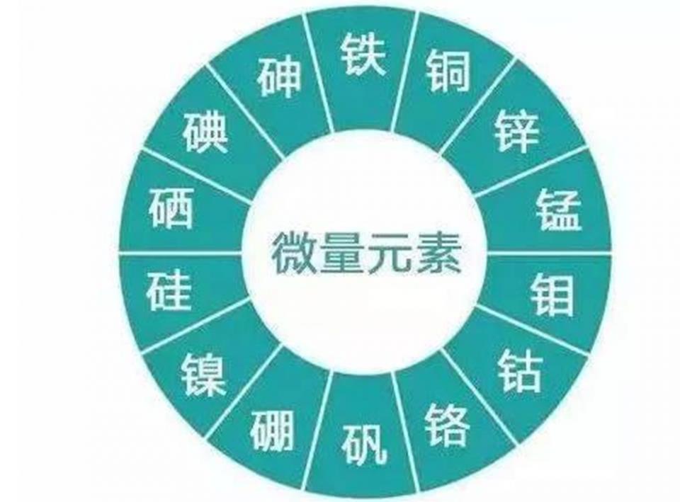 小宝宝头发“竖着长”,像极了“*债讨**鬼”,父母可有罪受了