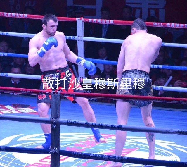 散打拳法太弱,泰拳踢拳散打谁最强