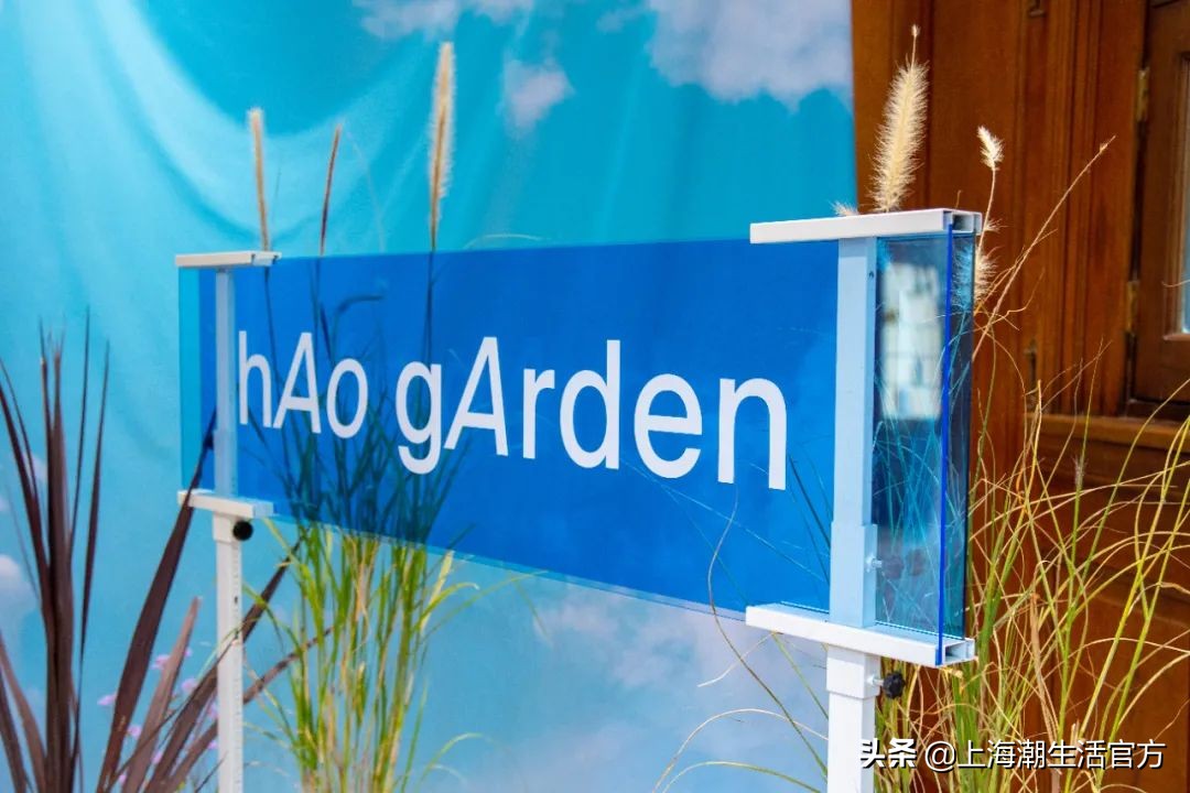 时髦精都在逛的hAomArket好市，一站式承包你的冬日小众好物