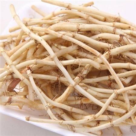 天然抗生素与中药,常见的中药抗生素有哪些