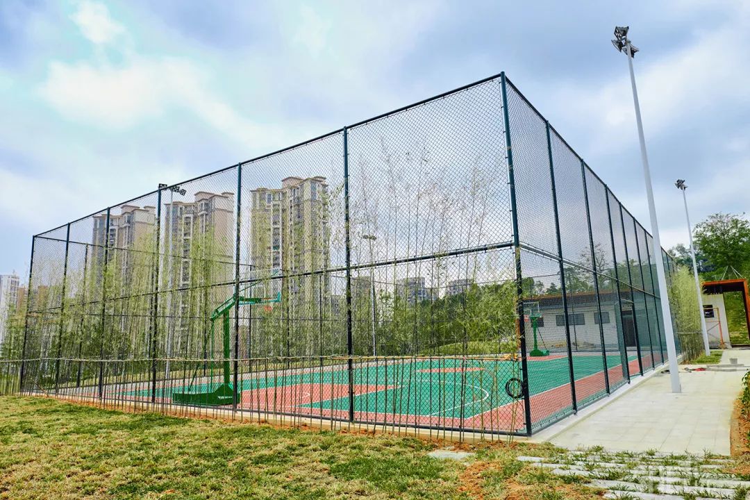 深圳龙华公园对外开放了吗,深圳市龙华新开的公园