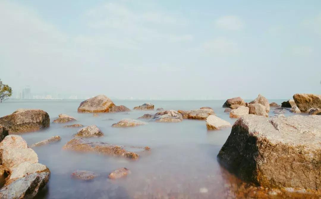 深圳湾公园这里有什么好吃的,深圳湾在哪里