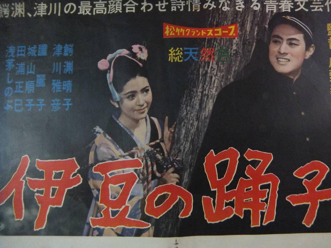 历届诺贝尔文学奖得主的电影作品,诺贝尔文学奖作品电影