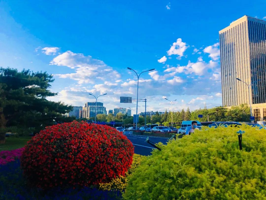 大美西城,文明寿光西城