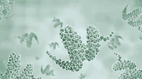 氧气是遏制生命的罪魁祸首,氧气是生命的必需品