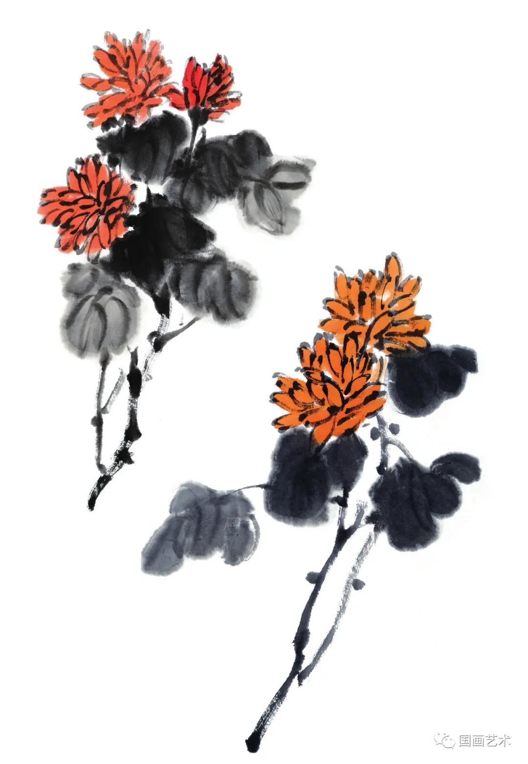 国画写意菊花龙爪菊,写意菊花画法教程简单
