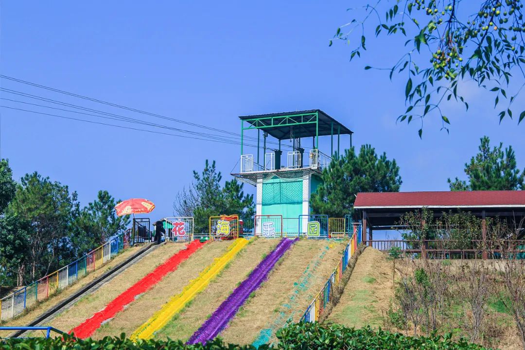 抓住春天的尾巴鸟语花香,抓住花海的尾巴