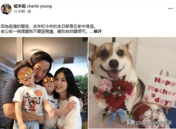 被男人骗尽钱财的女明星,被骗婚骗财的8大女星