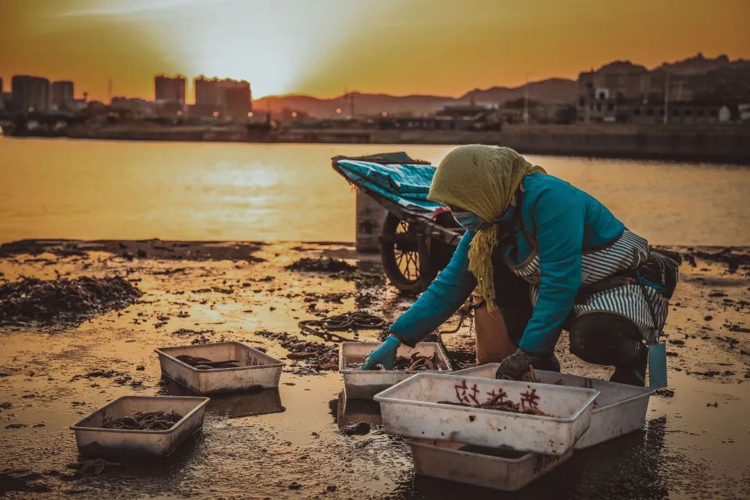 生活在海边的人皮肤特点,日照海边的魅力