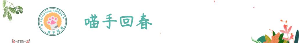 大雪天小狗被锁链拴门外冻的发抖,小狗冷风中瑟瑟发抖等主人三天