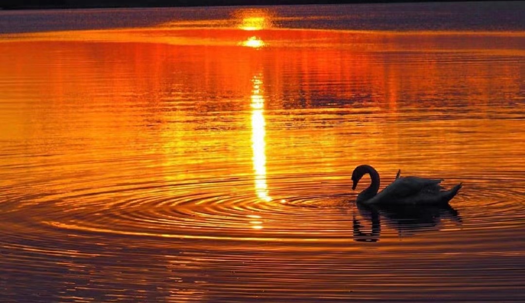 压强听课反思,液体的压强听课记录