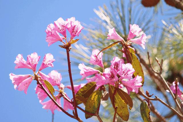 成都清凉耍水,成都周边免费露营耍水