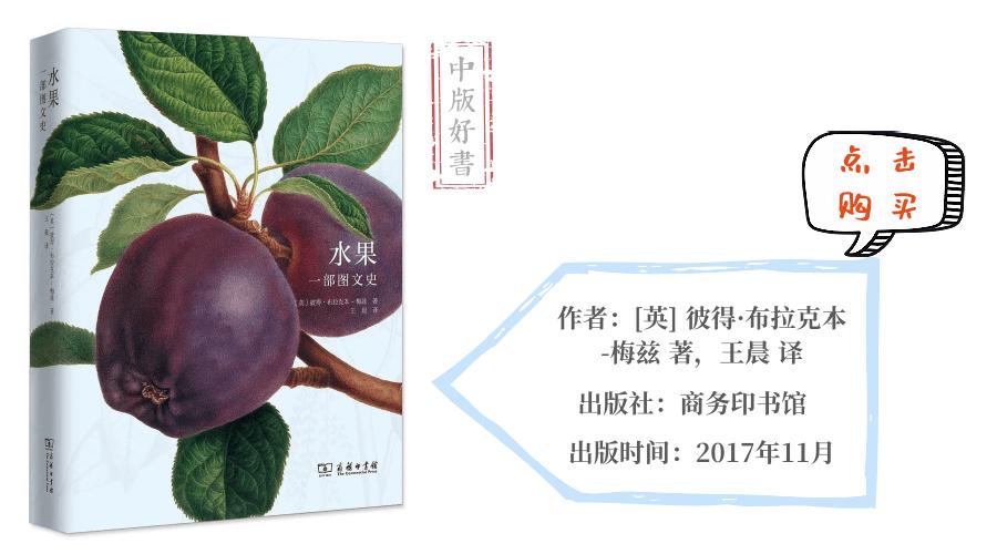 新手摆地摊看什么书,摆地摊有哪些容易学而且成本不高