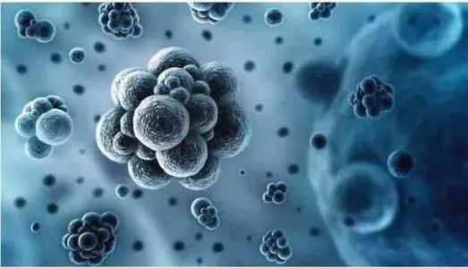 沉默的杀手完整版,沉默的杀手可以治好吗