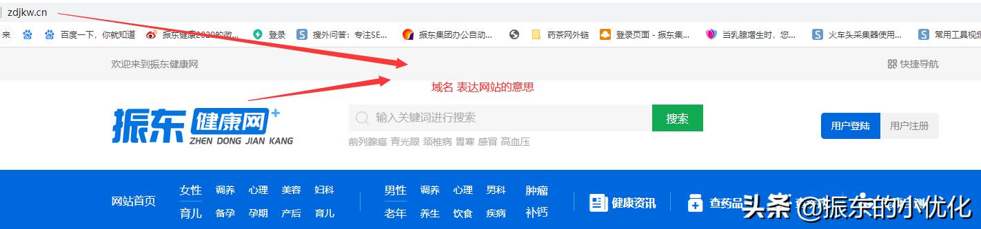 如何查看域名解析有没有成功,怎么看一个网站的域名解析方法