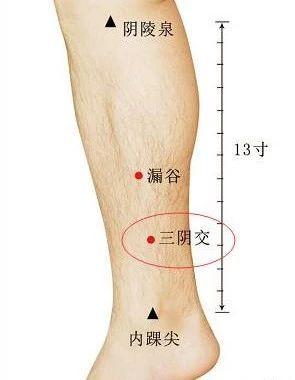 三伏天防病技巧,三伏养好背百病都消退