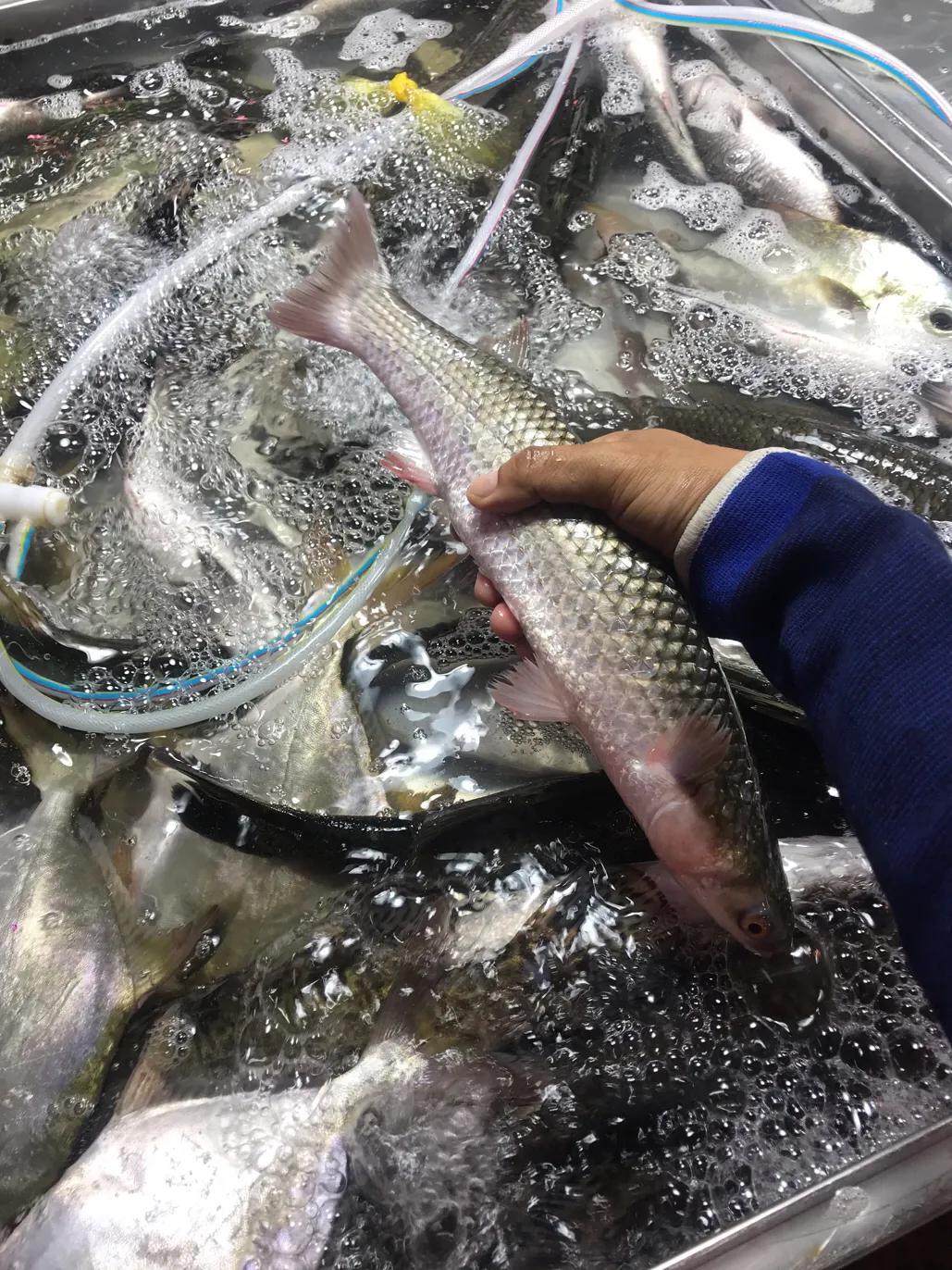 珠海斗门哪里海鲜便宜,吃货必去的海鲜城市