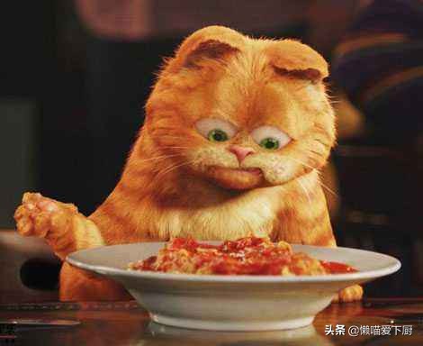 买意大利面肉酱,买意大利面买什么牌子的