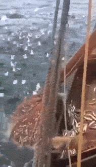 幽默gif：表哥误入传销之后，刚报完警，就收到消息