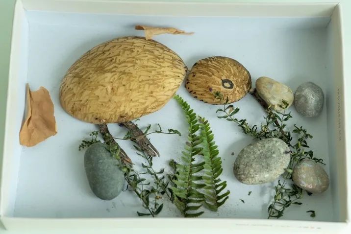 团妈探园丨开校一年即满园，城南这所创新幼儿园凭什么这么火？