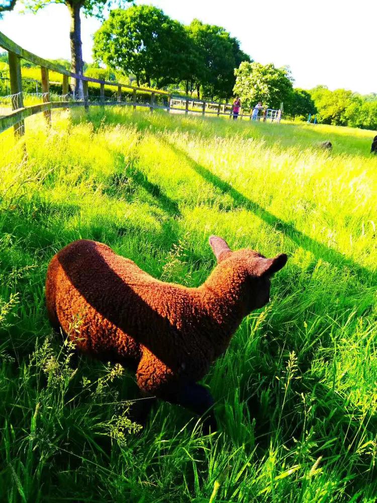 伦敦六月小说,六月的伦敦什么季节