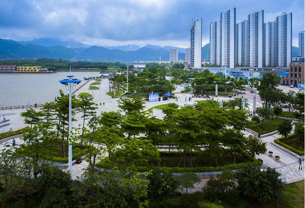 是鸡腿还是鸡肋,权威解析大亚湾(连载二)