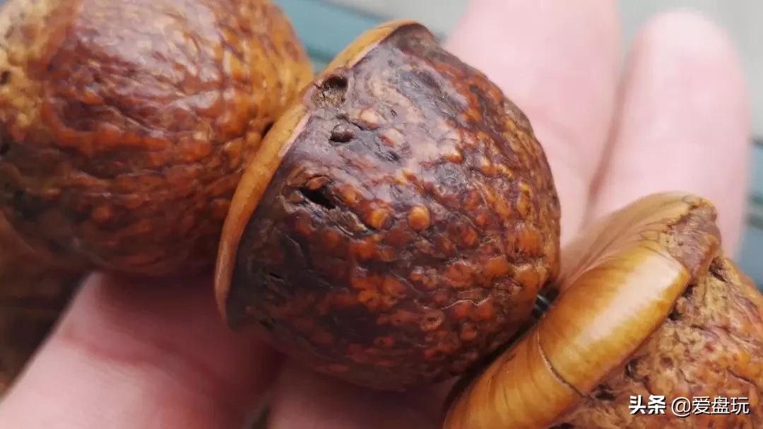 栗子，也能玩？这算啥，看看我玩的