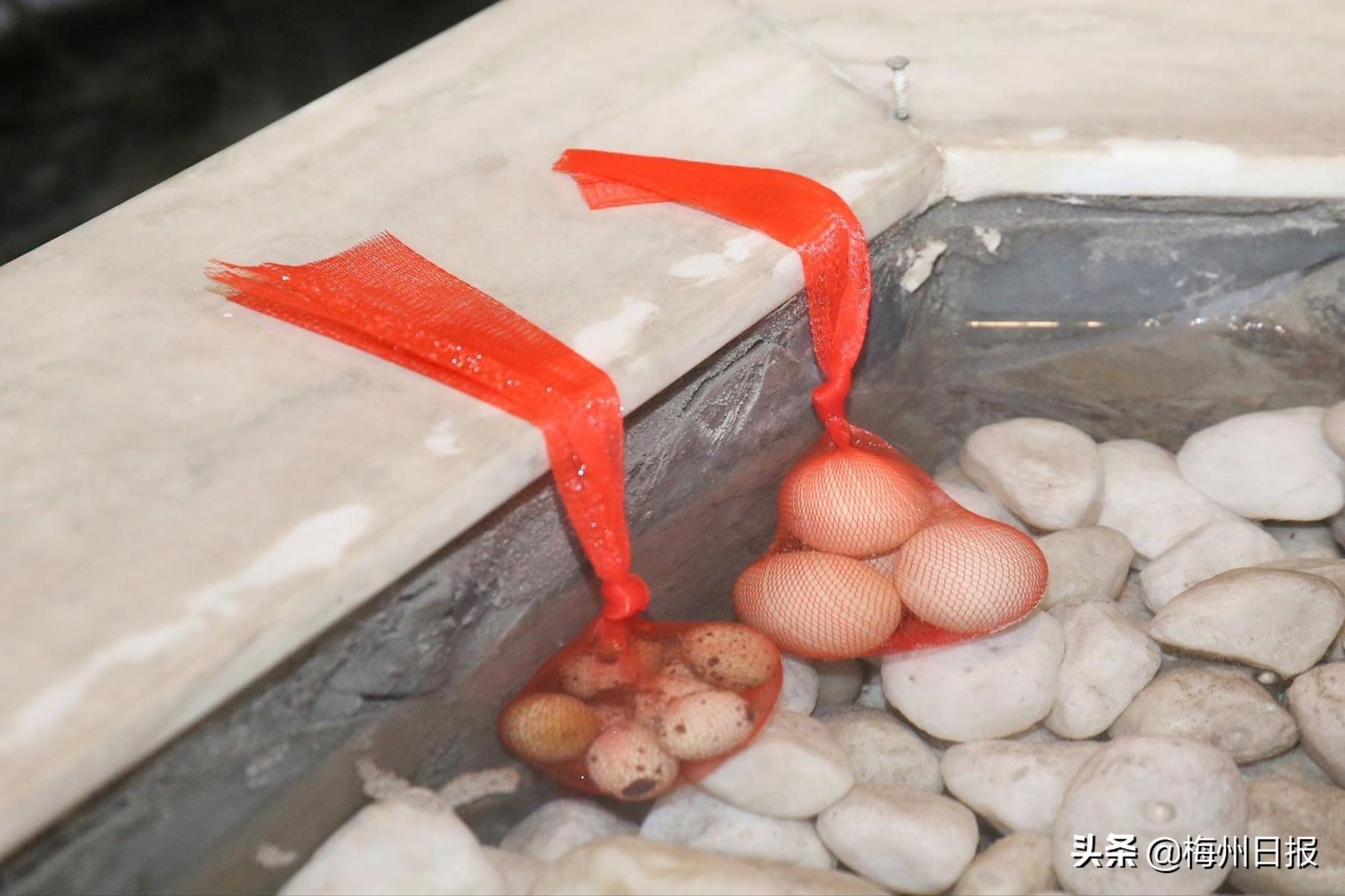 广东冷空气温泉游客,广东冬天泡温泉去哪里