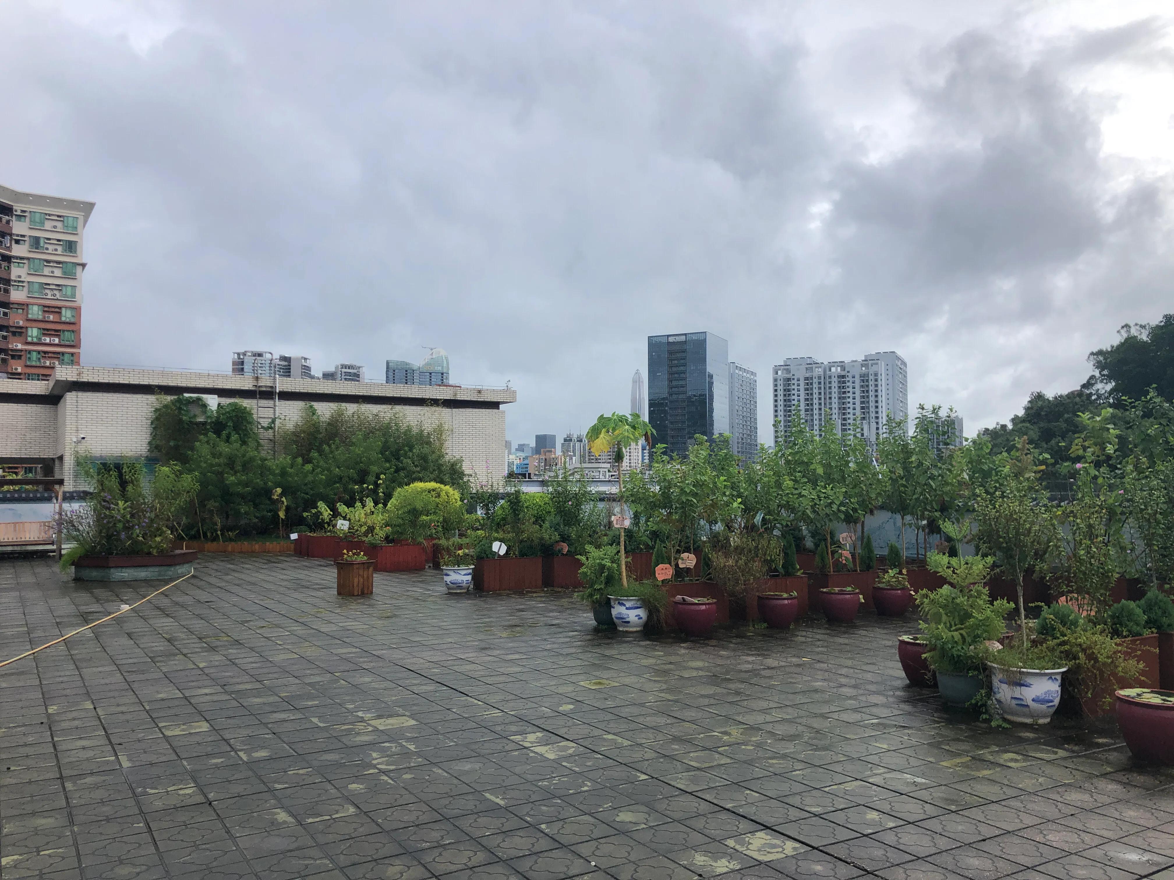 美在梅山-深圳市福田区梅山中学建校20周年志庆(2)