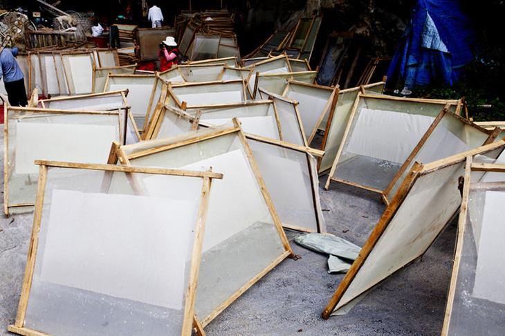 入侵中国的水葫芦现在都去哪了,为什么水葫芦被我们说成入侵植物