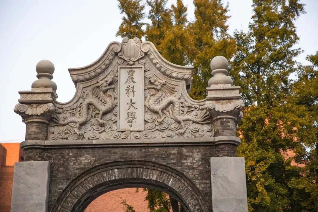 高考志愿填报要不要选农业类大学,高考填报食品类的本科院校及分数