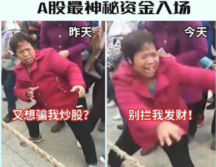 这届散户有多厉害,这届股民