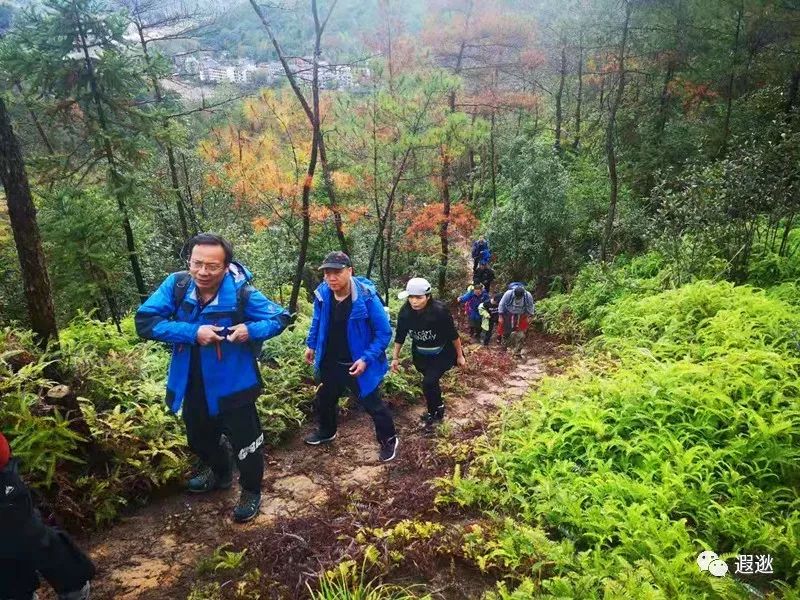 温州居然有这么美的小众景点,温州青龙山风景区在哪里