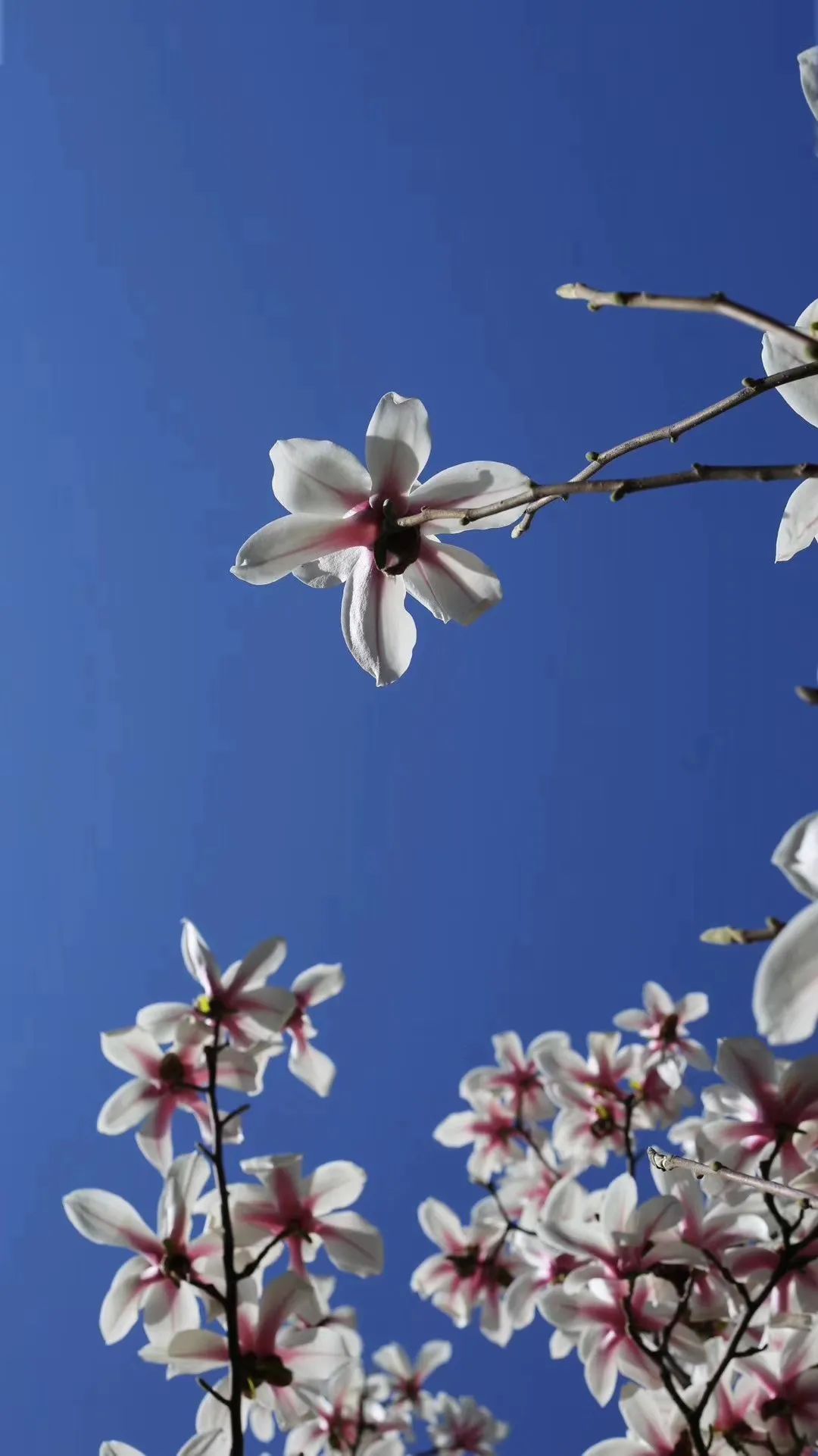 晋城司徒小镇异域风情,晋城皇城相府和司徒小镇